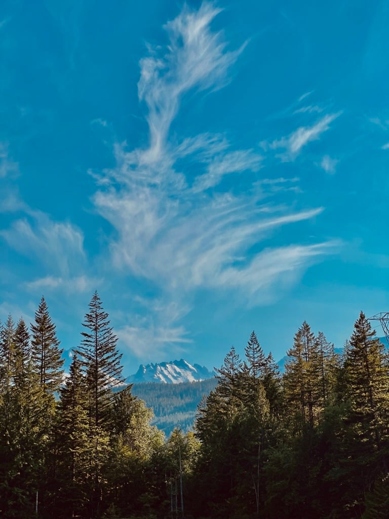 Mountain framed between two sets of trees with swooping clouds