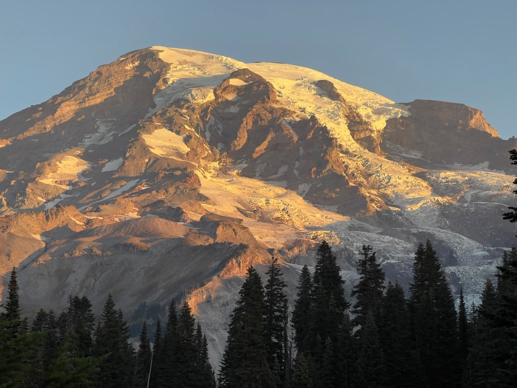 The large glacier on Mount Rainier at sunrise, framed by a row of trees